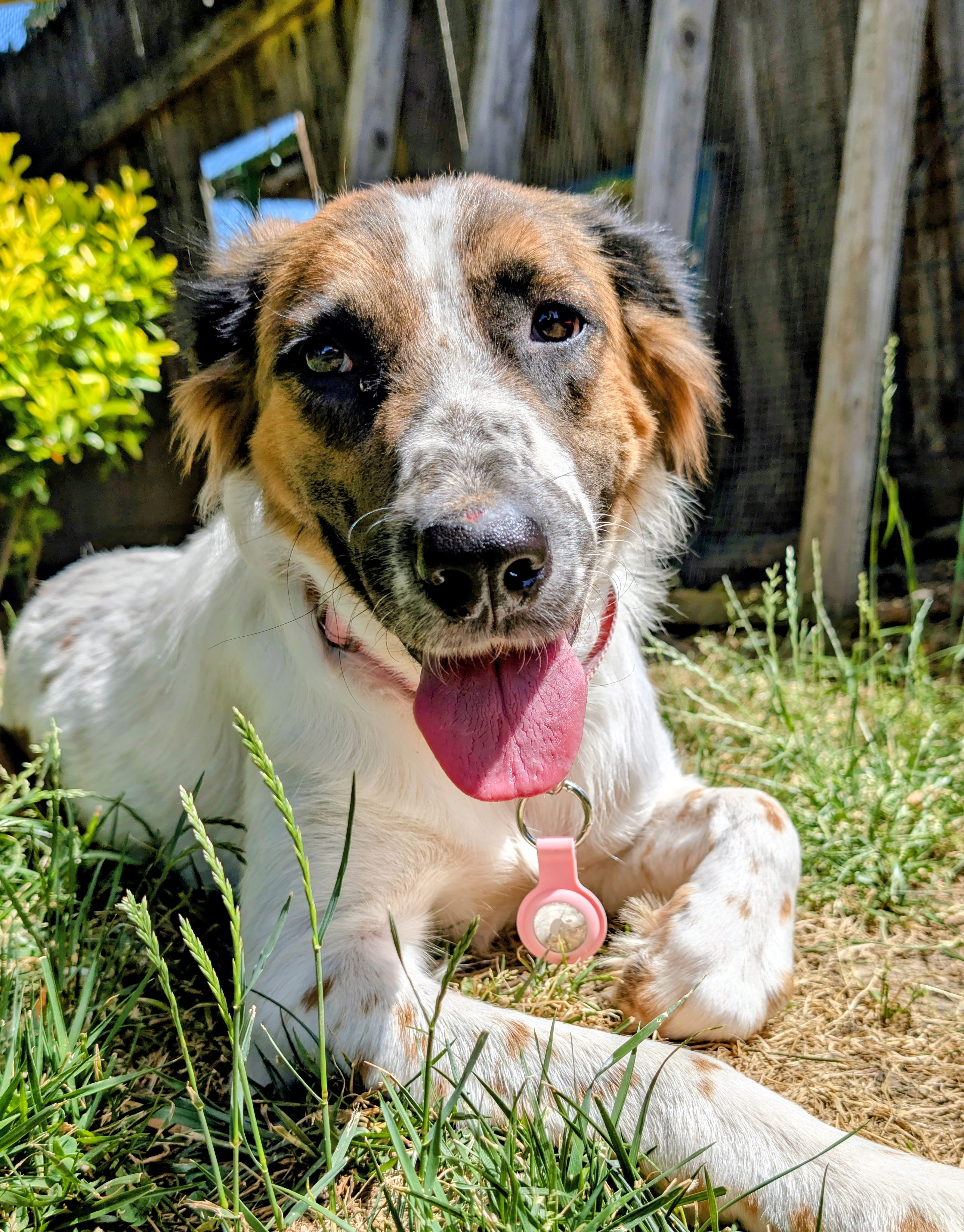 Winnie photo 1