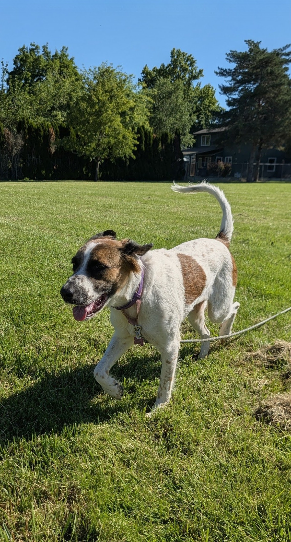 Winnie photo 4