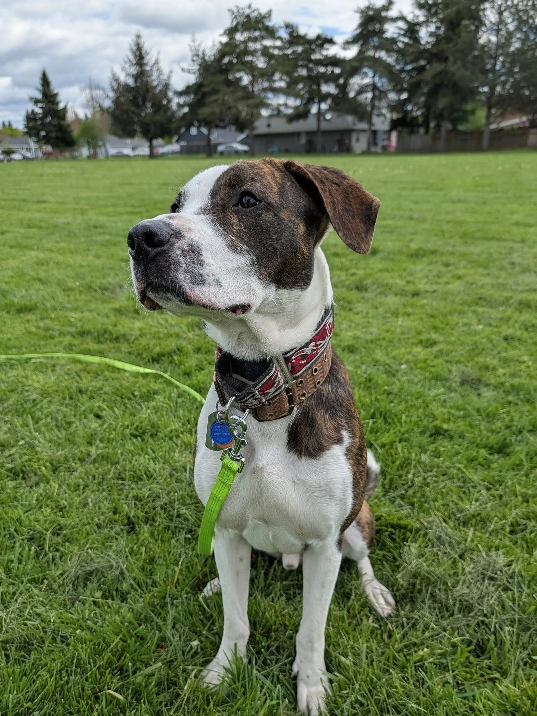 Oakley photo 4