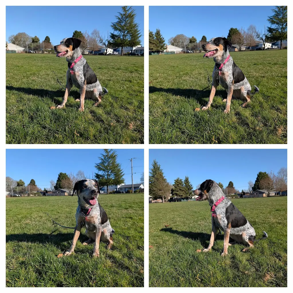 Zoey looking adorable